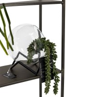 erwten plantje kunst
